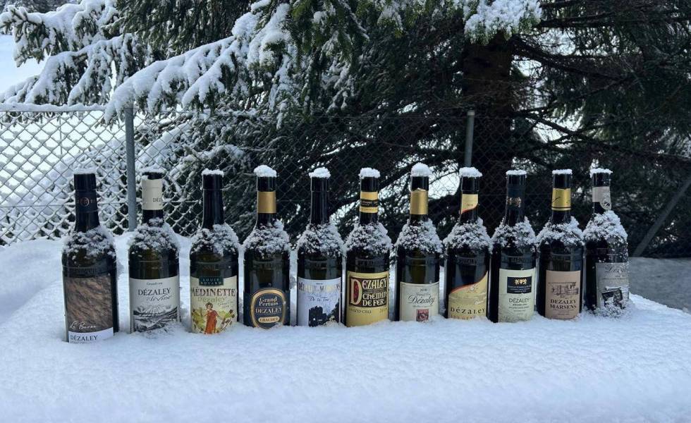 Les vignerons de la Baronnie du Dézaley vous souhaite un belle année 2026.